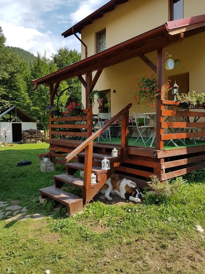 Vila Carmen Cazaci Kültér fotó